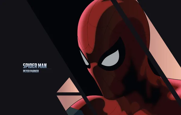 Picture red, background, the inscription, art, costume, superhero, comic, Spider-man, MARVEL, Spider-Man, Peter Parker