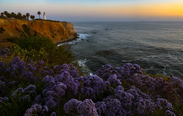 Picture landscape, sunset, nature, open, the ocean, shore, vegetation, lighthouse, CA, USA