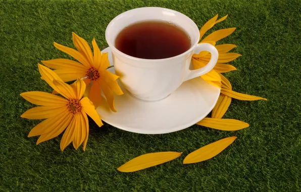 Picture tea, Cup, flowers