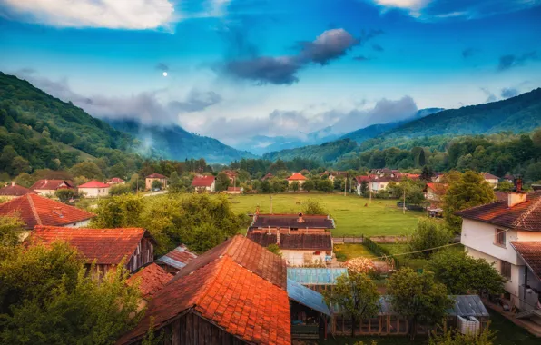 Picture forest, summer, mountains, fog, roof, village, houses, settlement