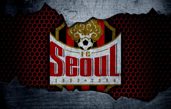 Picture wallpaper, sport, logo, football, Seoul