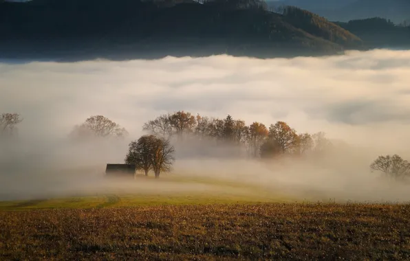 Picture autumn, trees, fog, meadow, house, Карл Эггер