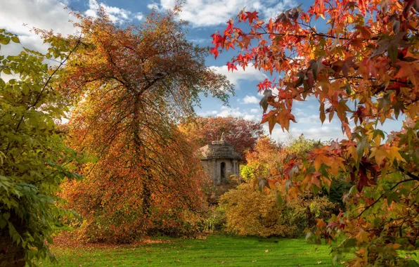 Picture autumn, leaves, chapel