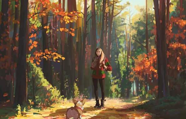 Picture autumn, forest, girl, walk, Corgi