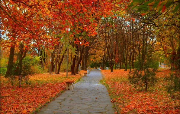 Picture Autumn, Trees, Park, Alley, Fall, Foliage, Park, Autumn, Colors, Trees, Path