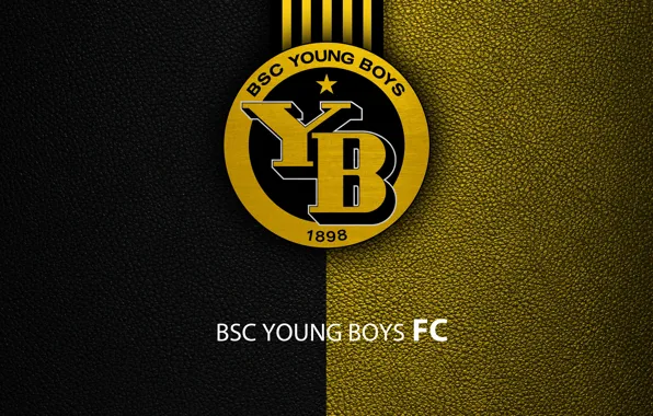 Picture wallpaper, sport, logo, football, BSC Young Boys