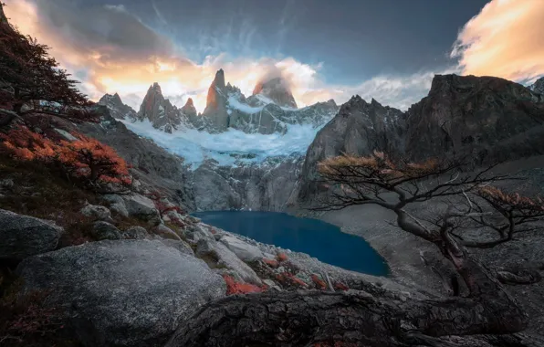Picture trees, mountains, rocks, Andes, Patagonia