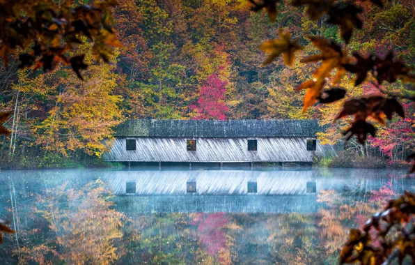 Picture autumn, USA, Alabama, Cambron Covered Bridge, Green Mountain Park