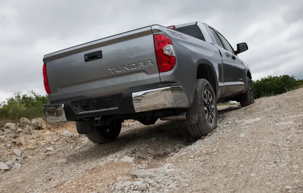 Picture Toyota, rear view, pickup, Tundra, 2019