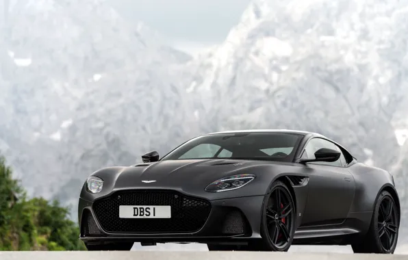 Picture Aston Martin, DBS, Superleggera