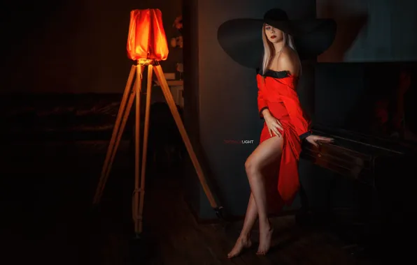 Picture pose, Girl, hat, dress, legs, neckline, Alexander Drobkov-Light, Carina Carina