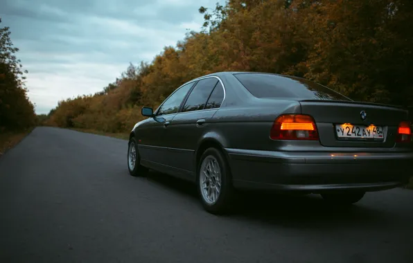 Picture background, BMW, E39, BBS, the asphalt, BMW E39