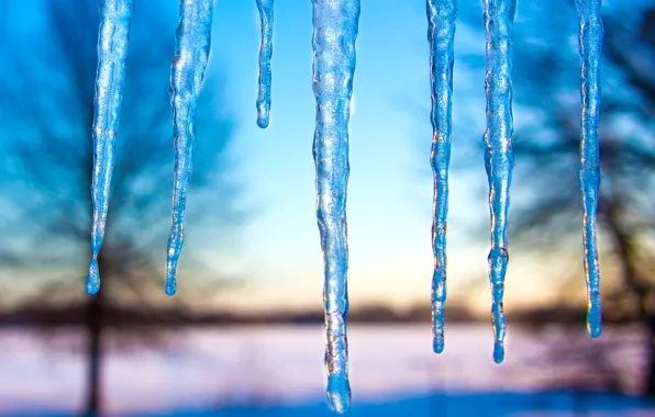 Picture winter, the sky, trees, nature, ice, icicles, pond, blue background, bokeh, blurred background