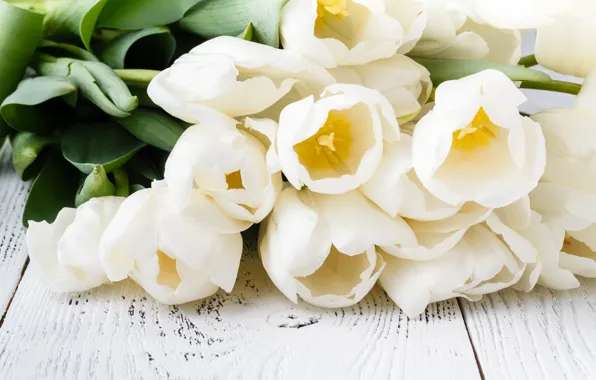 Picture bouquet, tulips, white, Olena Rudo
