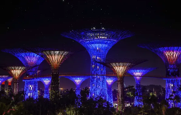 Picture night, Singapore, columns