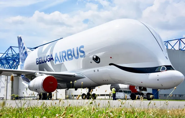 Picture the plane, the plane, Cargo, Airbus, Beluga, A300, Airbus Beluga, Super Transporter, Beluga XL, cargo …