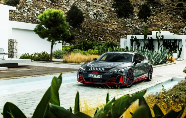 Picture Audi, vegetation, coupe, 2020, RS e-Tron GT Prototype