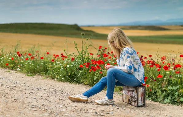 Picture road, field, summer, girl, flowers, mood, hills, woman, Maki, jeans, blonde, suitcase, waiting, sitting, hitchhiking, …