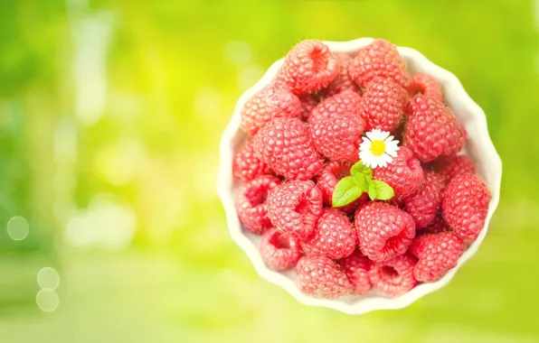 Picture berries, raspberry, background, food