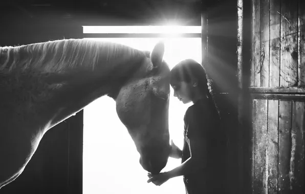Picture light, horse, girl, light, girl, horse, Alessandro Cereda