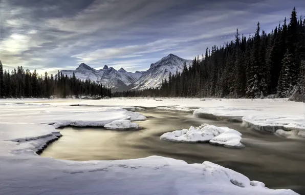 Picture ice, river, canada, Athabasca