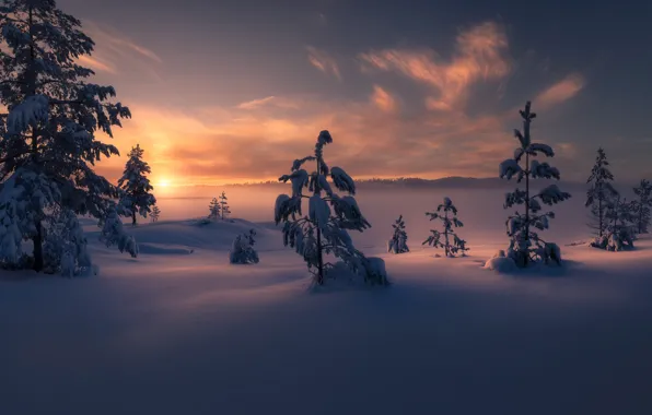 Picture winter, snow, trees, sunset, Norway, the snow, Norway, RINGERIKE, Ringerike