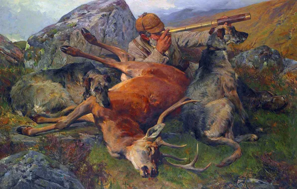 Picture Picture, Deer, Dogs, Male, Hunter, The corpse, Британский художник-анималист, John Sargent Noble, Джон Сарджент Нобль, …