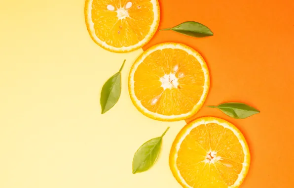 Picture orange, yellow, background, color, orange, oranges, texture, three, fruit, leaves, trio, circles, citrus, slices, slices, …