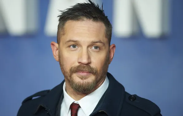Picture look, pose, beard, actor, photoshoot, writer, Tom Hardy, Tom Hardy, film producer