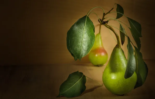 Picture leaves, wall, pear, still life, pear, bokeh