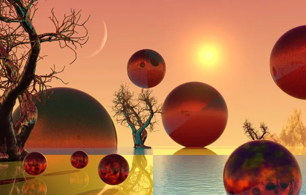 Picture trees, landscape, sunset, balls