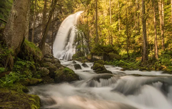 Picture forest, trees, river, waterfall, Austria, Austria, Salzburg, Salzburg, Black Brook Creek, Gollinger Waterfall, Водопад Голлингер, …