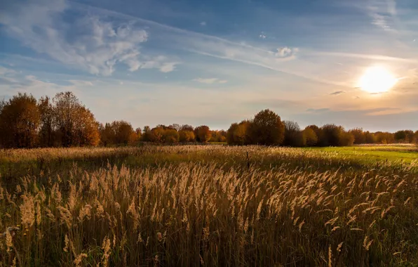 Picture field, autumn, the sky, the sun, light, landscape, sunset, nature, meadow, shadows