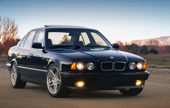Picture BMW, E34, 5-Series, 540I