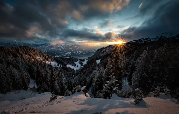 Picture winter, the sun, rays, snow, landscape, sunset, mountains, nature, Switzerland, forest, Lake Thun