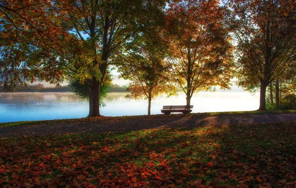 Picture autumn, trees, bench, lake, Park, foliage