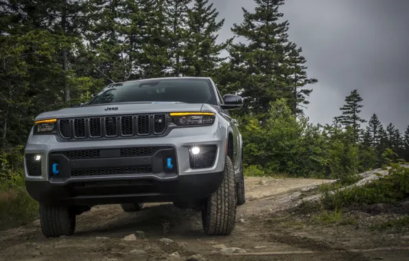 Picture trees, power, road, trees, power, exterior, Jeep, Grand Cherokee, dirt road, Trailhawk, exterior, 4xe, Jeep …