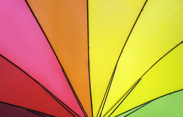 Picture background, color, rainbow, colors, umbrella, colorful, rainbow, umbrella, background
