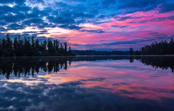 Picture forest, the sky, lake, reflection, dawn, morning, Washington State, Washington, Lake Sawyer, Lake Sawyer