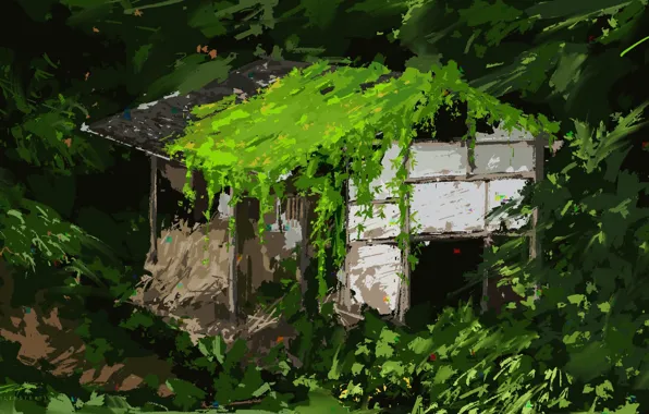 Picture forest, house, abandoned