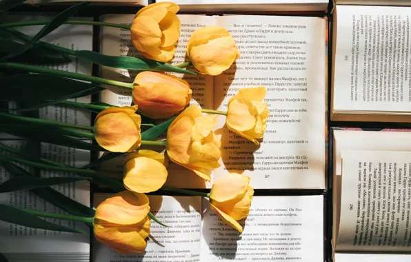Picture flowers, text, books, bouquet, yellow, tulips, page, literature