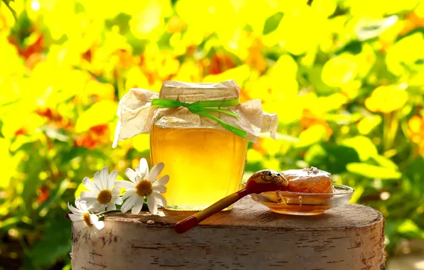 Picture field, summer, flowers, stump, chamomile, cell, yellow, spoon, Bank, still life, honey, bokeh