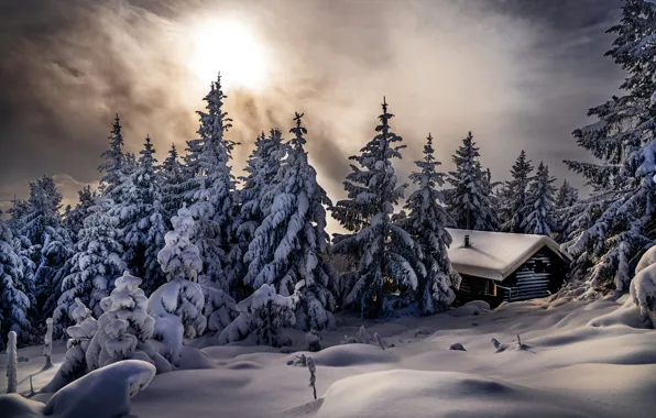 Picture winter, snow, trees, landscape, nature, house, ate, the snow, Robert Didierjean