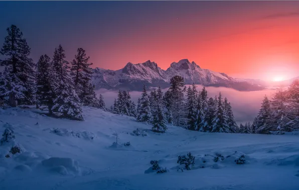 Picture winter, snow, mountains, dawn, morning