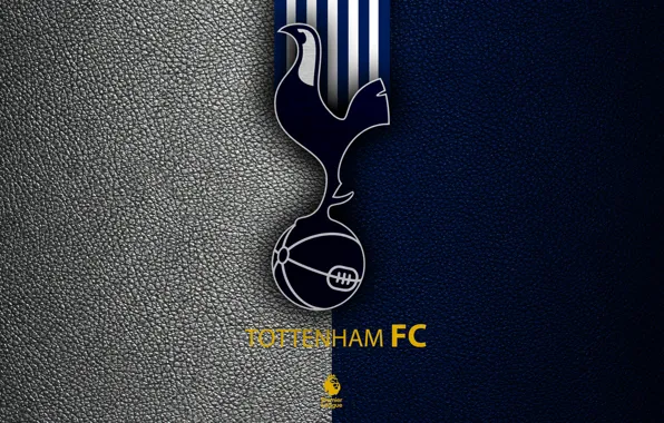 Picture wallpaper, sport, logo, football, English Premier League, Tottenham Hotspur
