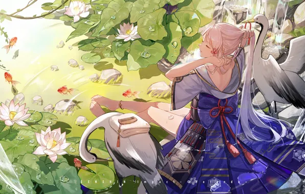 Picture stream, hairstyle, goldfish, Lotus, long hair, Japanese clothing, in the water, sitting on a rock, …