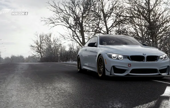 Picture track, Winter, BMW M4, Forza Horizon 4