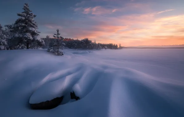 Picture winter, snow, trees, the evening, Norway, Norway, Romsdalen, Ole Henrik Skjelstad