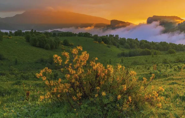 Picture clouds, landscape, sunset, mountains, nature, The Caucasus, meadows, Vladimir Ryabkov, Бароновы поляны
