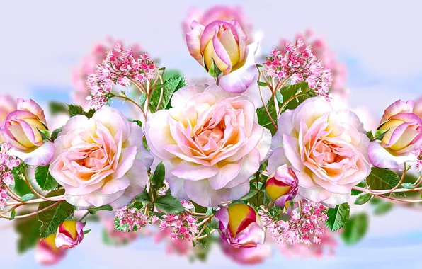 Picture Graphics, Flowers, Roses